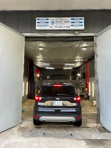 Auto-spa